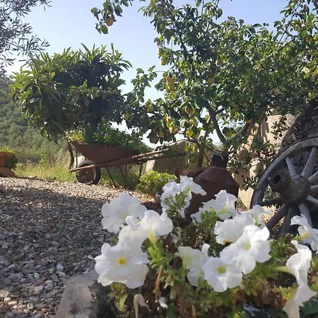 Casa Centro Sardegna Sorgono
