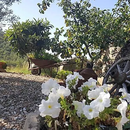 B&B Casa Centro Sardegna Sorgono
